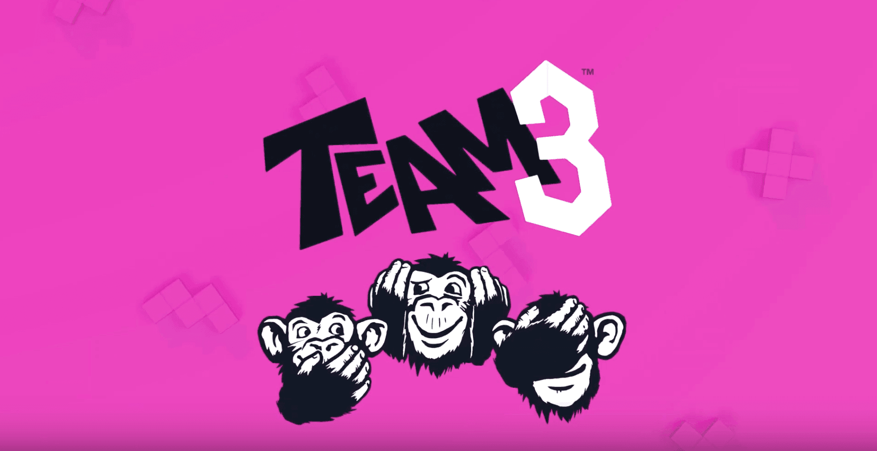 Team3