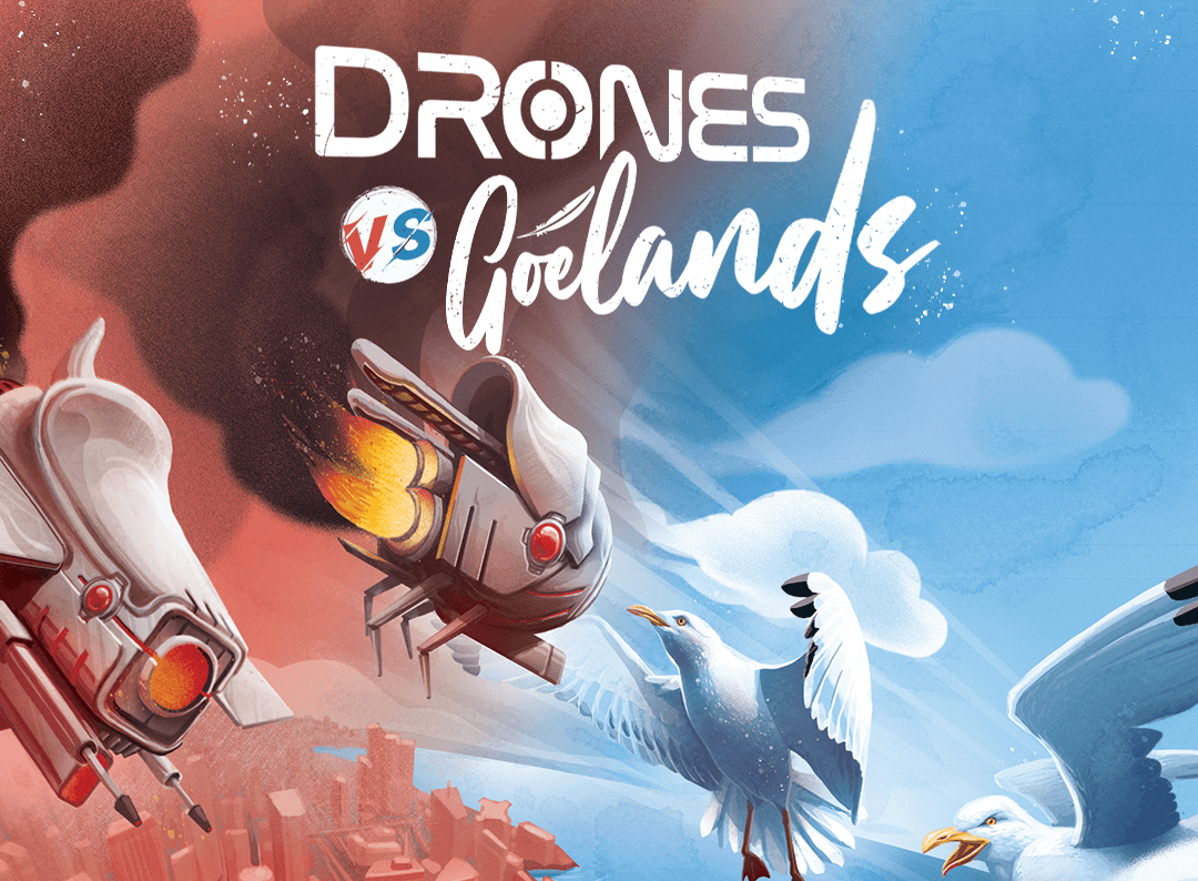 Drones VS Goélands