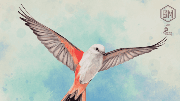 WingSpan