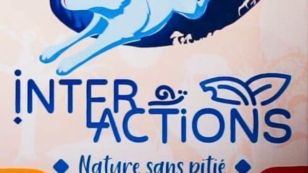 Interactions – Nature sans pitié