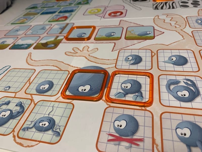 Concept Kids Animaux