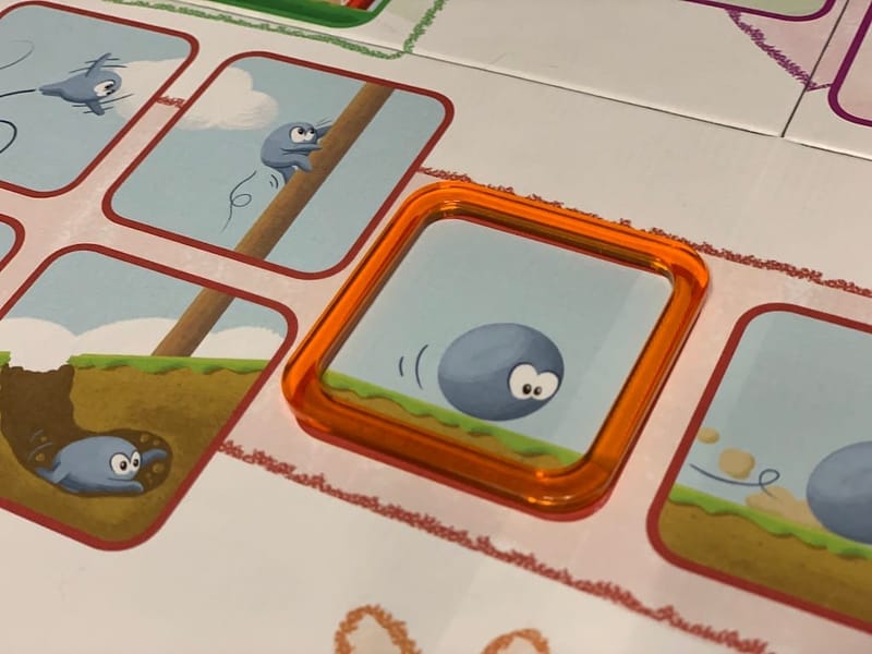 Concept Kids Animaux
