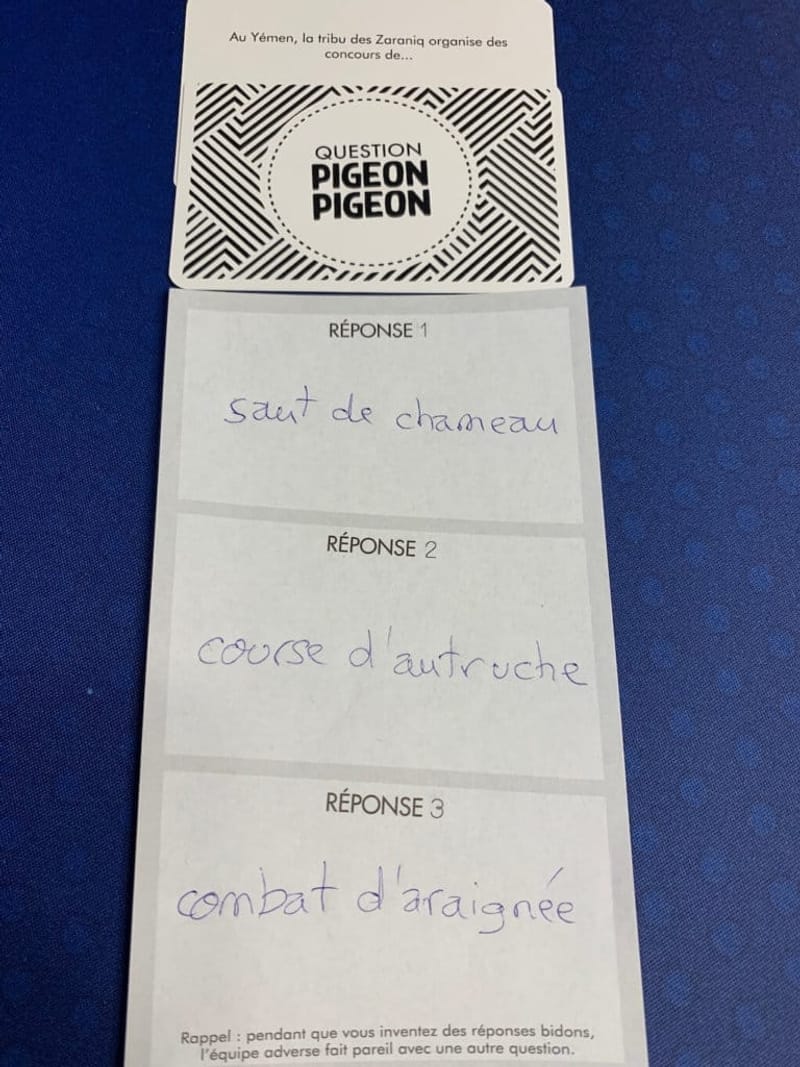 Pigeon Pigeon