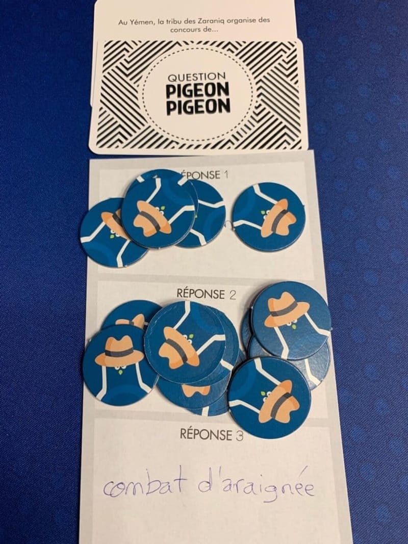 Pigeon Pigeon