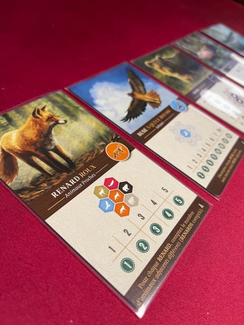 Le début d’année 2022 chez AkoaTujou en jeu de société