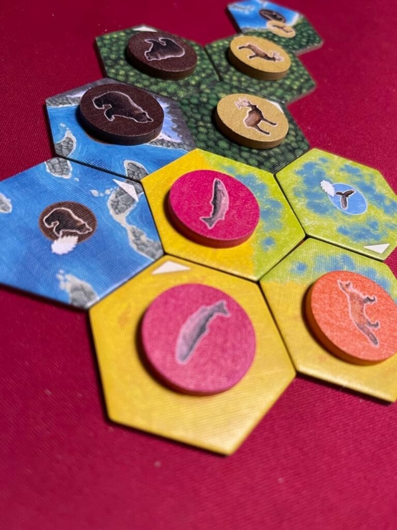 Le début d’année 2022 chez AkoaTujou en jeu de société