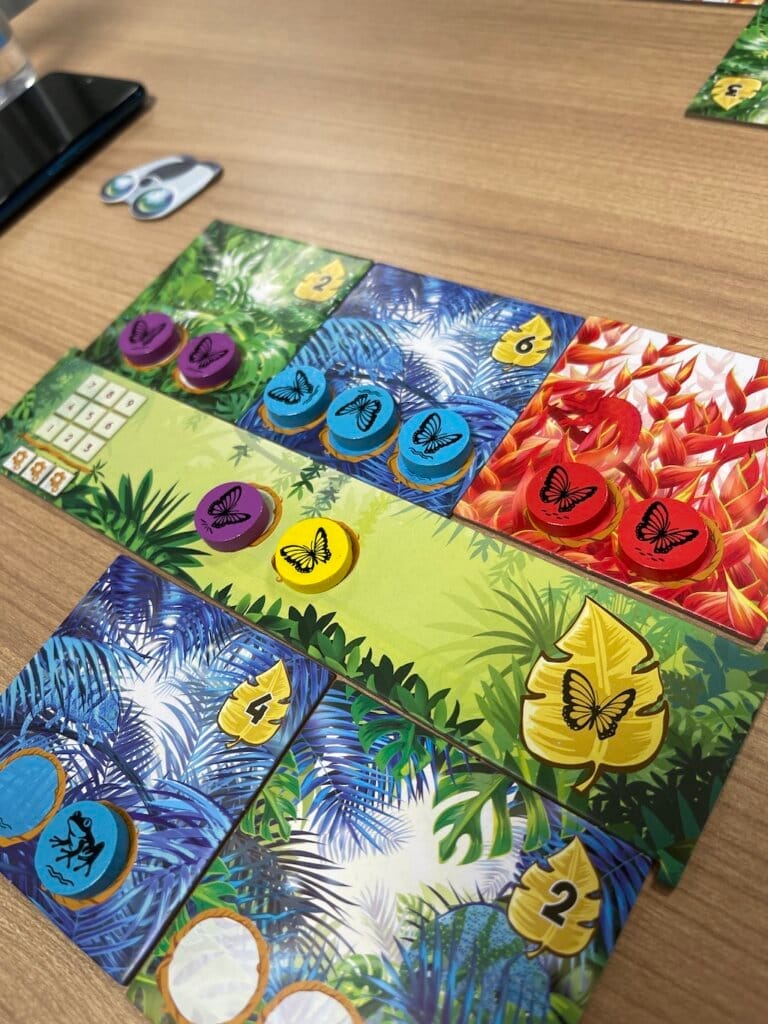 Rain Forest