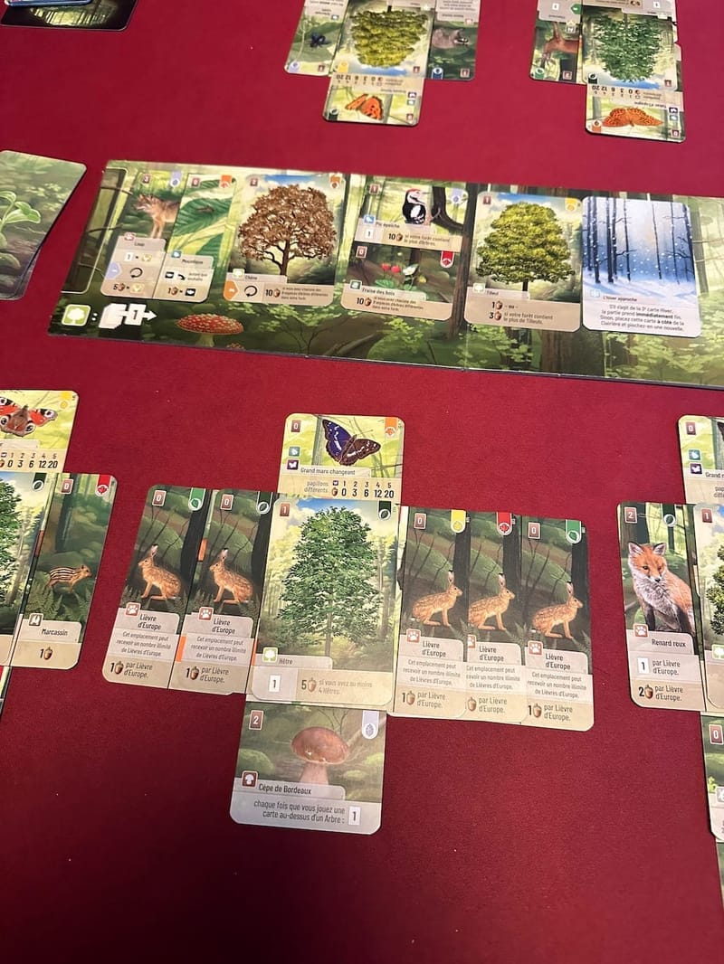 Forêt Mixte