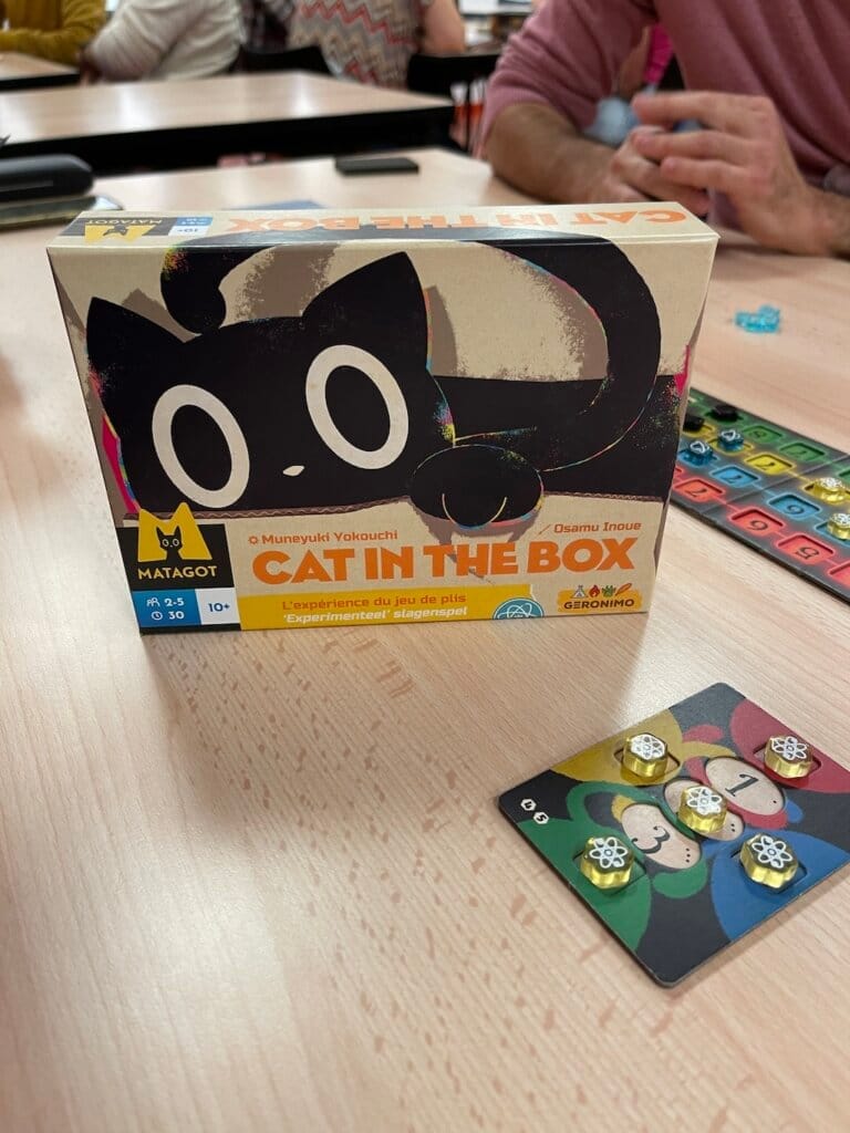 Cat in the box