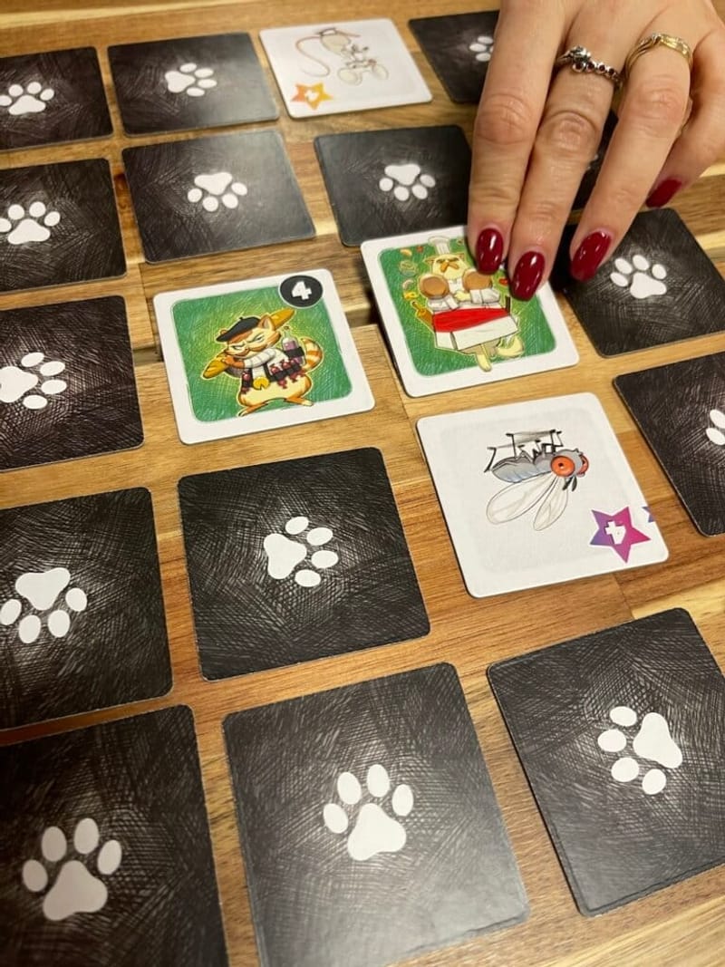 Chats de poche