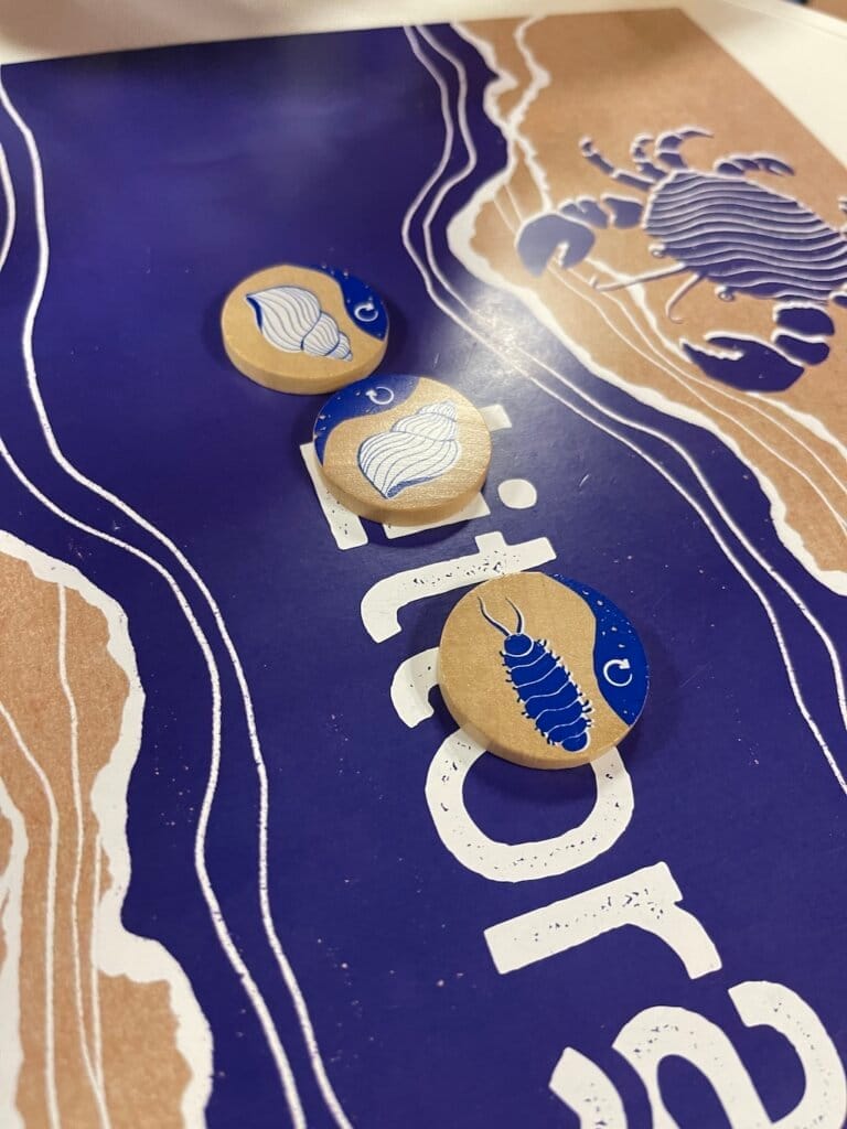 Littoral
