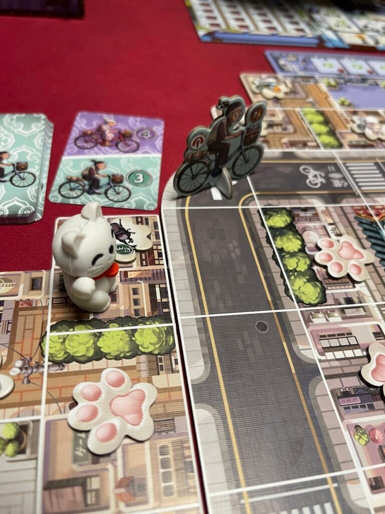 Kyoto No Neko