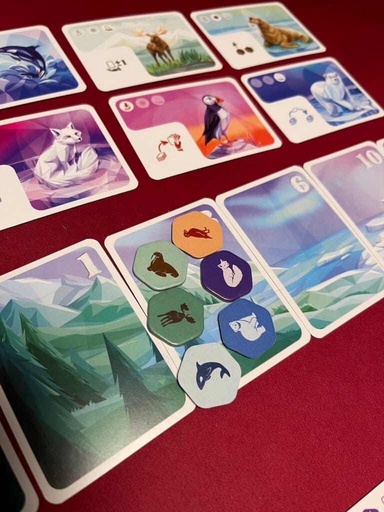 Arctic