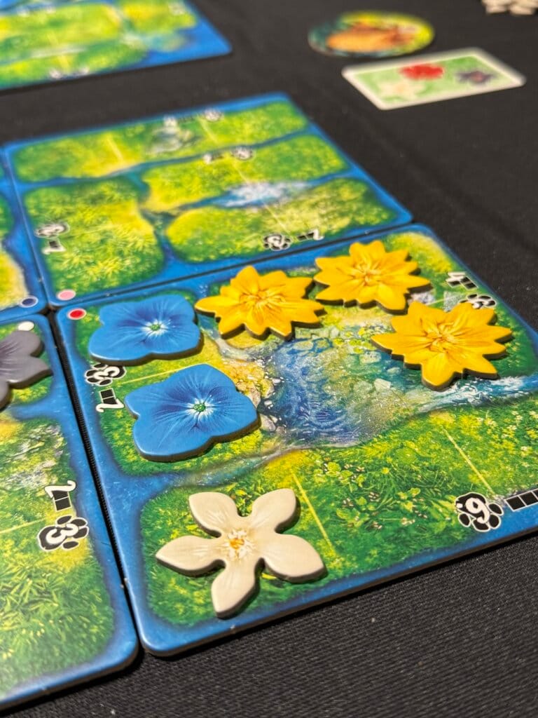 Hutan – La vie dans la forêt tropicale