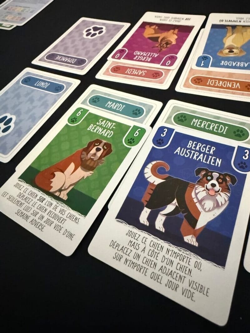 Woof Days / Cat Days