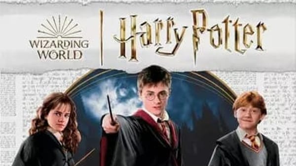 Harry Potter : Stupefix !