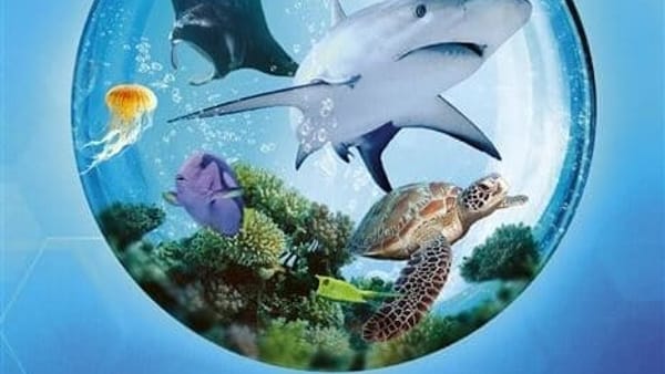 Ark Nova – Mondes Marins