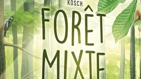 Forêt Mixte