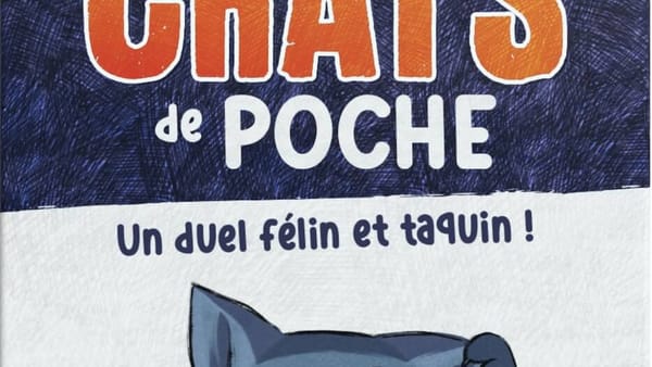 Chats de poche