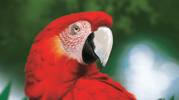 Life of the Amazonia