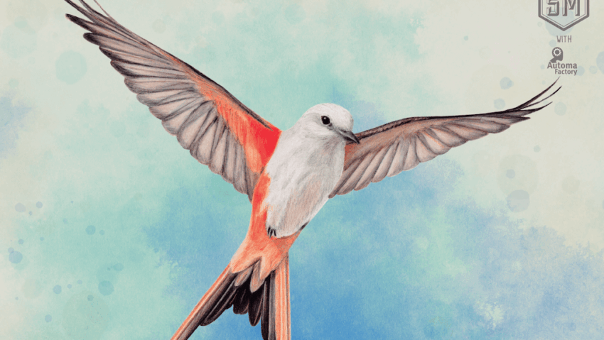 WingSpan