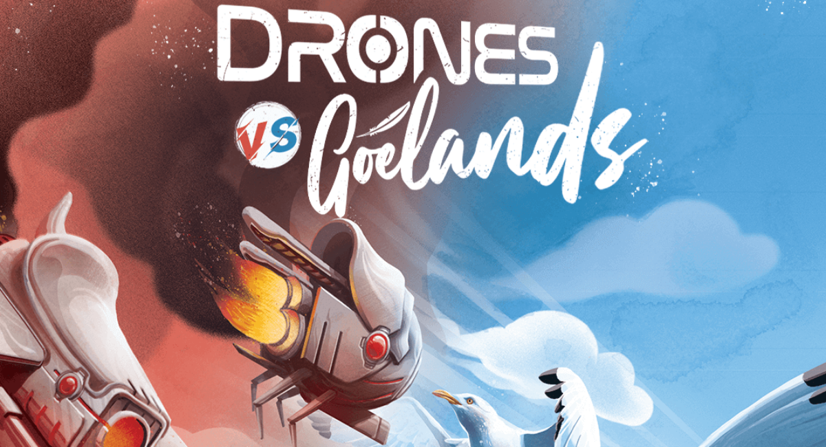 Drones VS Goélands