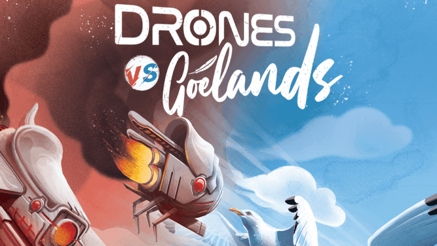 Drones VS Goélands
