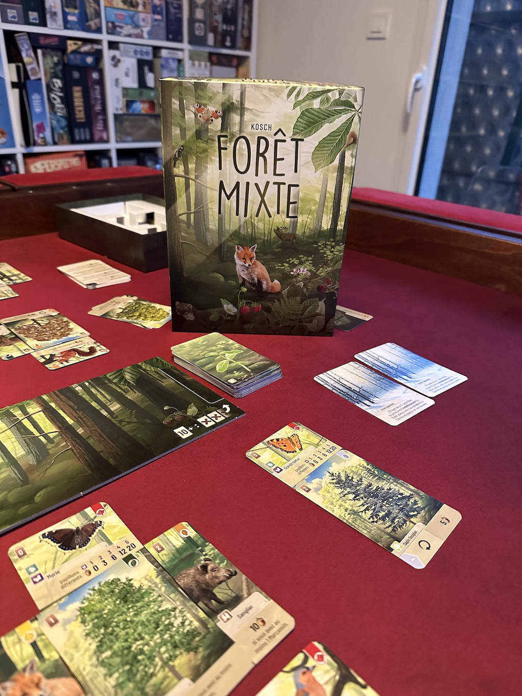 Forêt Mixte - Jeux initiés jeu de société - Akoa Tujou