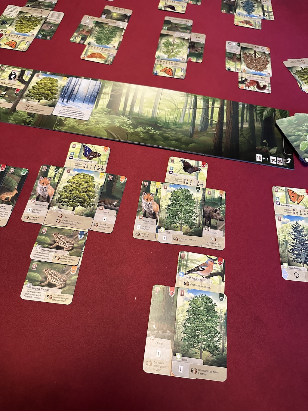 Forêt Mixte - Jeux initiés jeu de société - Akoa Tujou