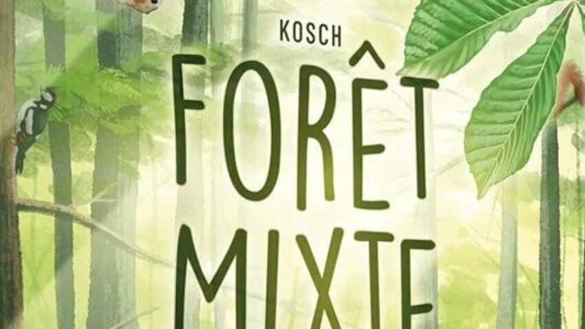 Forêt Mixte