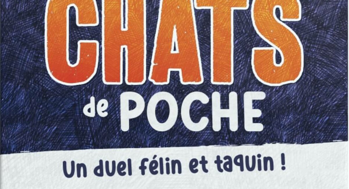 Chats de poche