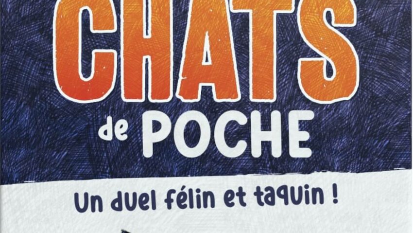 Chats de poche
